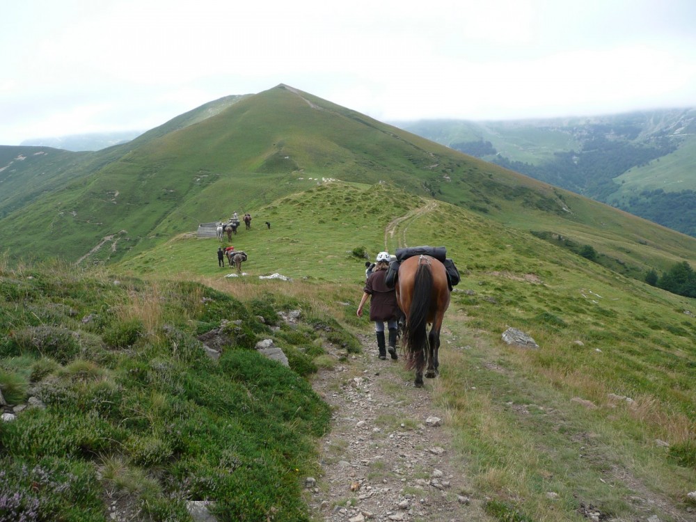 transhumance Guara Parc national des Pyrénées atlantiques