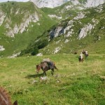 Vers le col de Tendenera