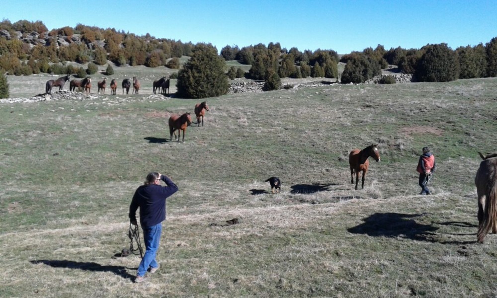 los Fenales du Tozal de guara