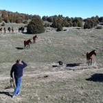 los Fenales du Tozal de guara