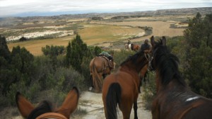 Bardenas