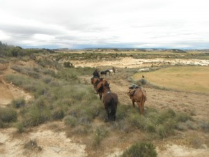 Bardenas