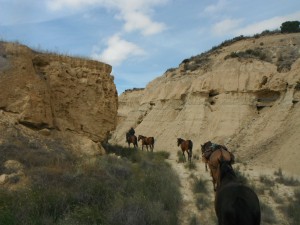 Bardenas