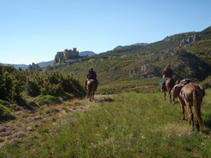 Approche vers le chateau de Loarre