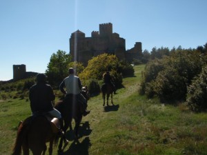 Chateau de Loarre