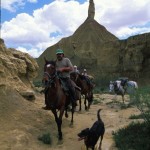 Bardenas