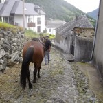 descente sur Bilhères en Ossau