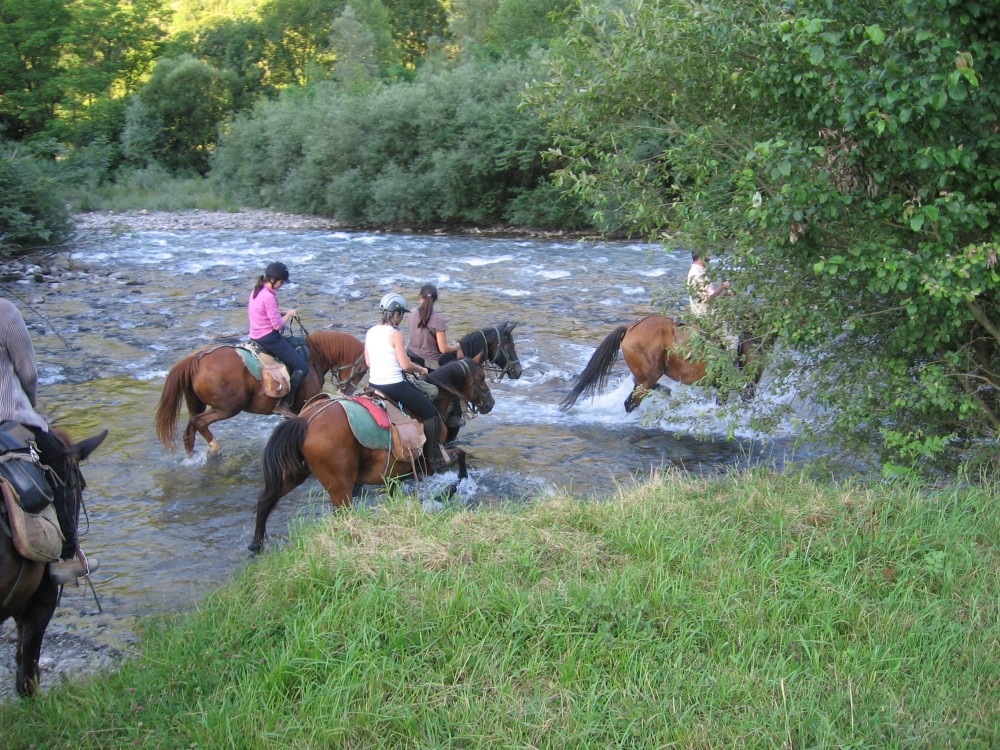 traversée du gave d'Ossau