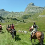 transhumance en Ossau