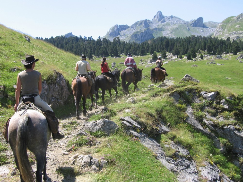 transhumance en vallée d'Ossau vers les estives d'altitude