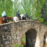 pont de Nocito