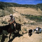 Bardenas Reales