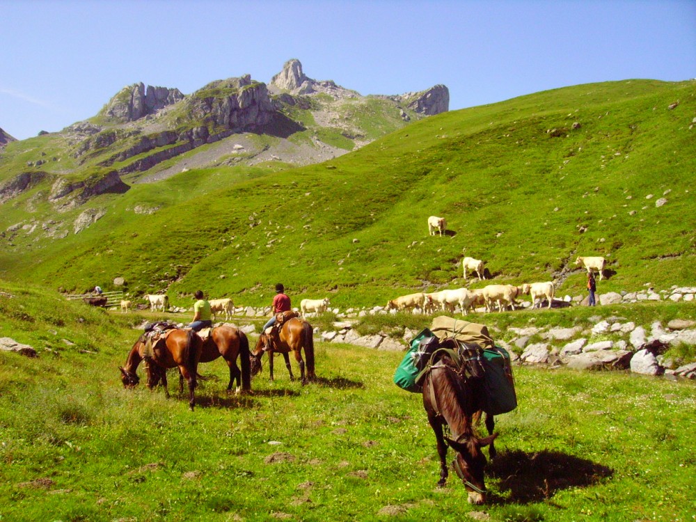 transhumance en vallée d'Ossau