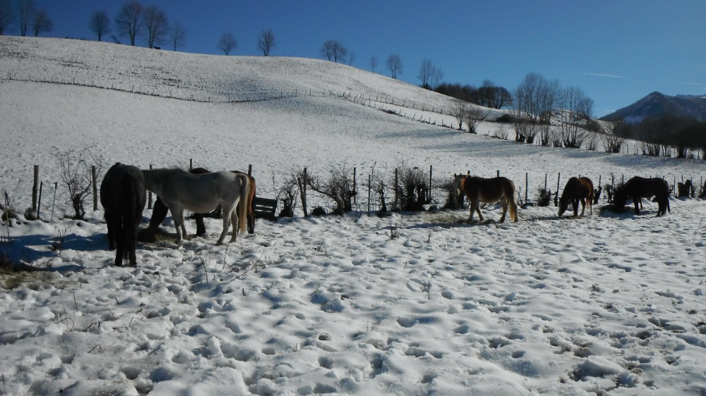 Neige au Benou, elle est arrivée !