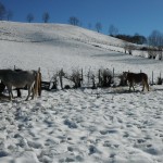 Neige au Benou, elle est arrivée !