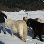 en route vers la vallée