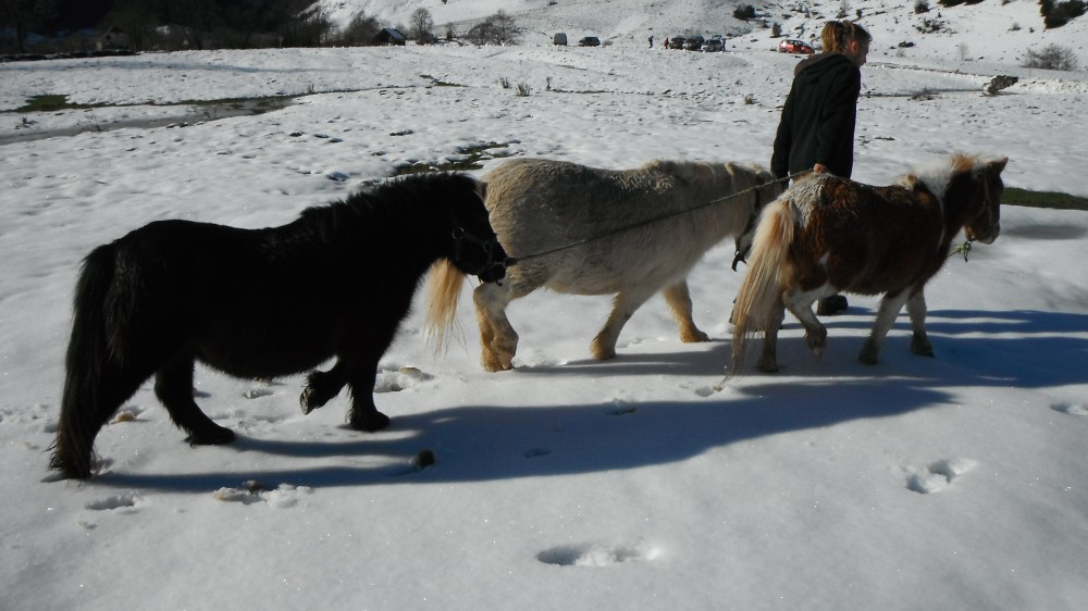 On descend dans la vallée