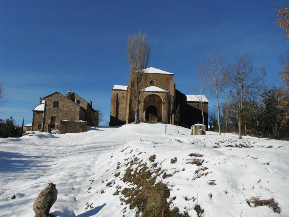 le chêne millénaire de San Urbez