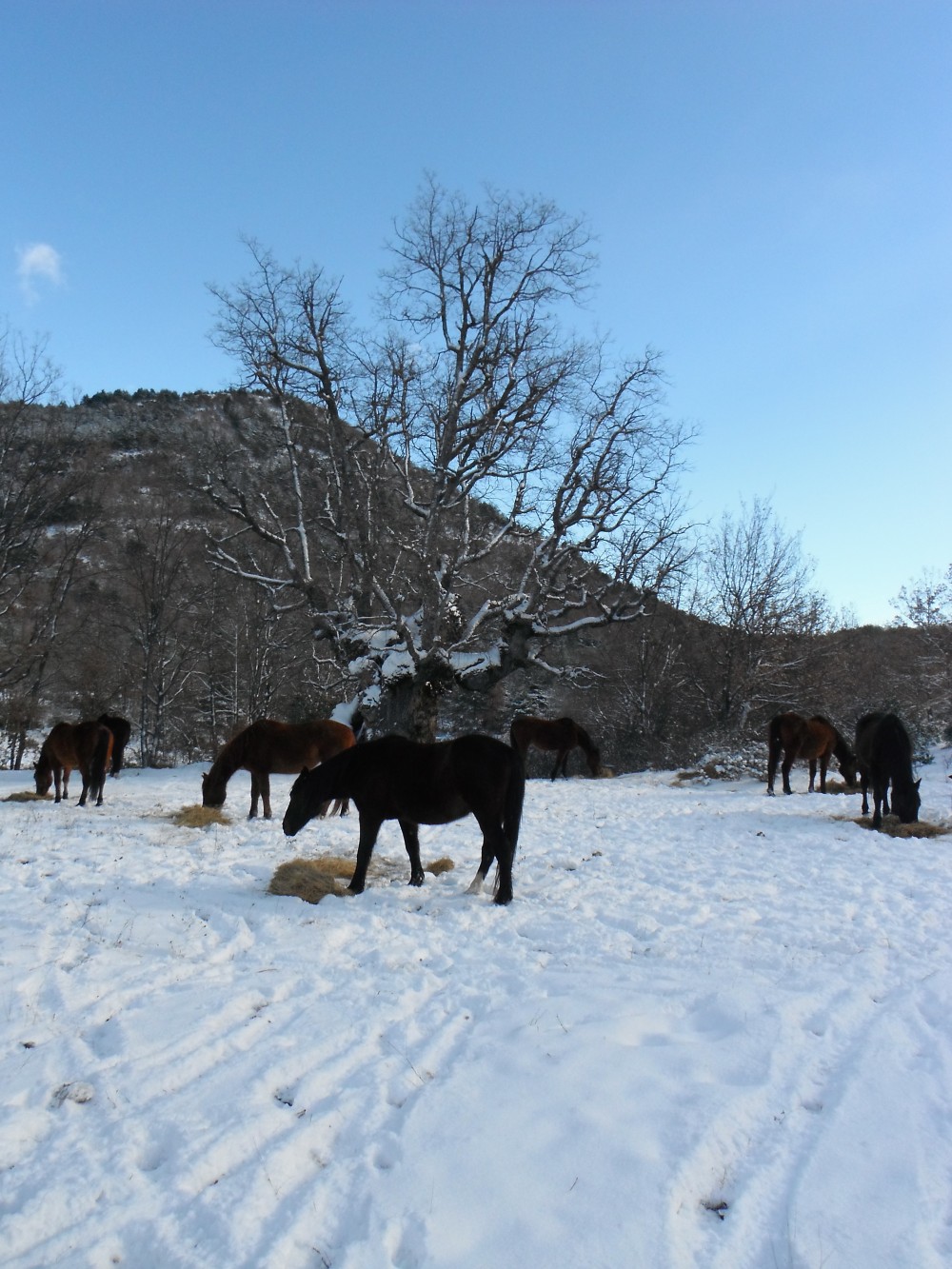 San Urbez (Nocito Sierra de guara