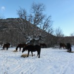 San Urbez (Nocito Sierra de guara