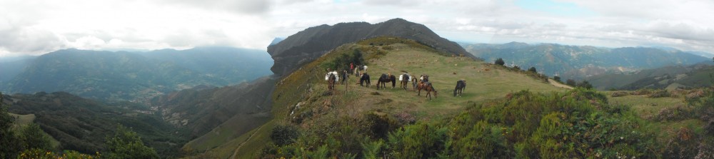 campomanes2