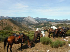 puerto de Linares (2)