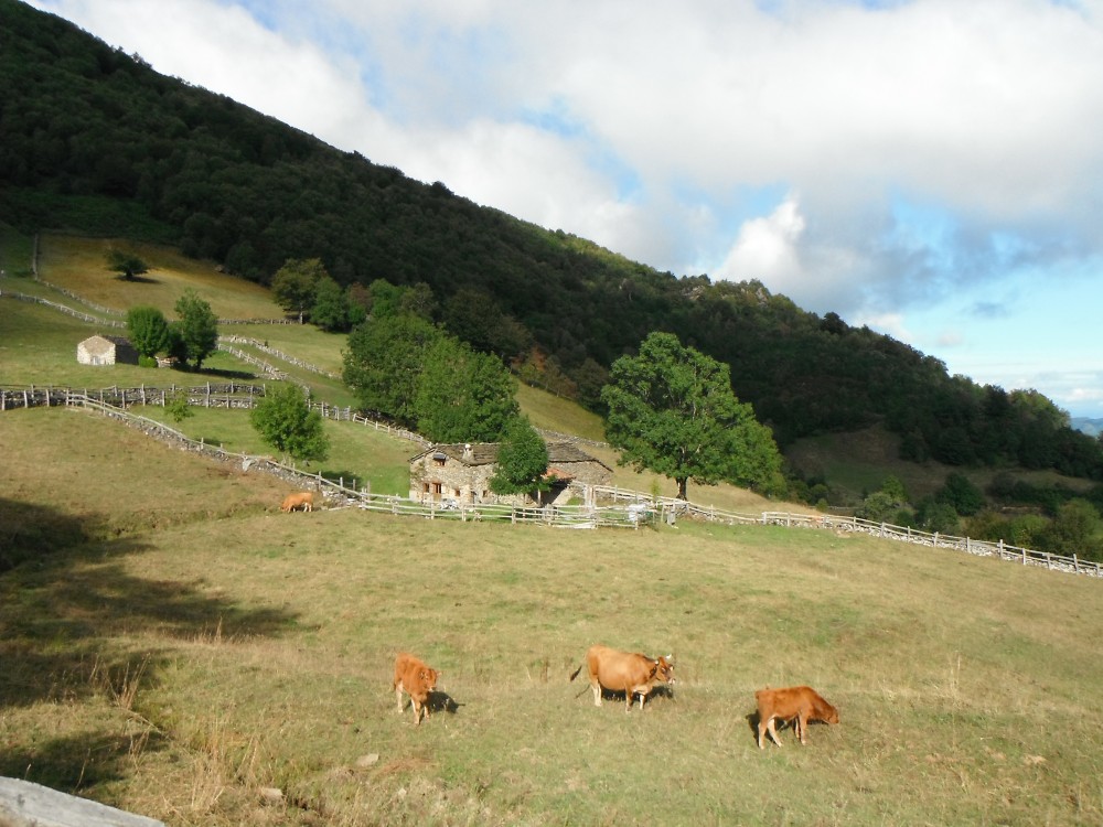 sur la piste des chasseurs