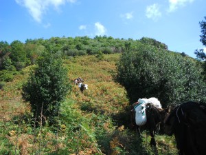 vers Ricabo (2)