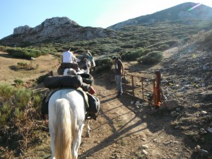 vers le col des Aragones (3)