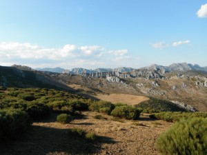 vers le col des Aragones (4)