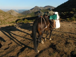 vers le col des Aragones (5)