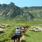 Parc National des Pyrénées Occidentales