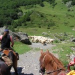 Haut Ossau