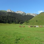 Plateau du Benou