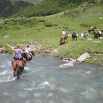 Traversée du Gave d'Ossau