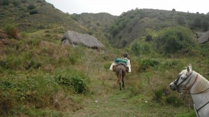 Cabanes en toît d'escoba