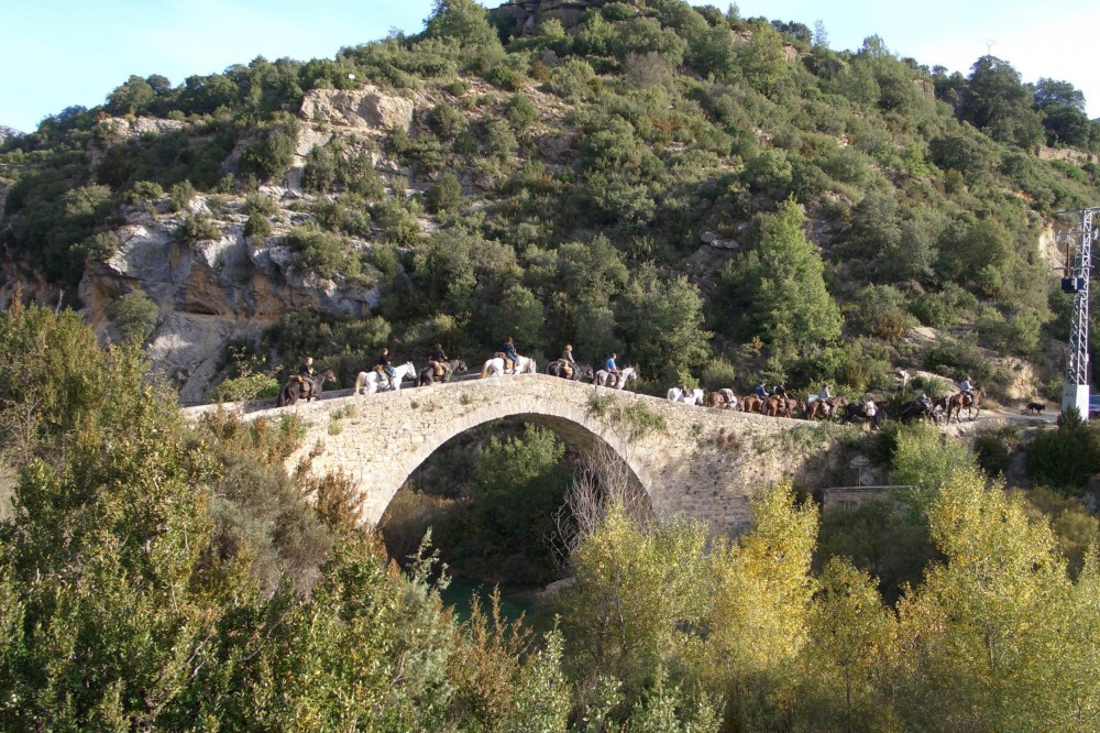 pont rodellar