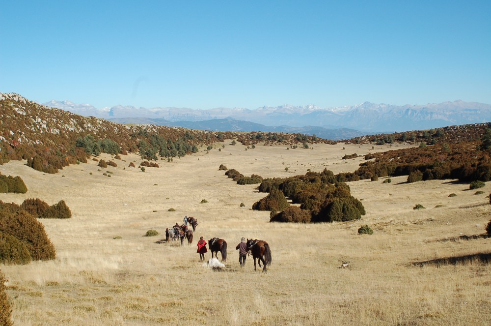 rando toussaint olivier Follet 07 244 (3)