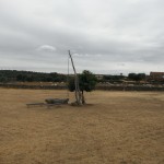 DSCF8988
